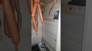 Термокамера 1.0 квартирная..mp4