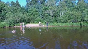 Шишов Максим. Лемболовское озеро. Ленинградская область 2019г.