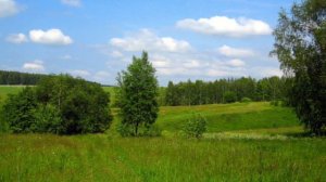 природа Орловской области #хотынец  #орëл