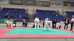 Карате киокушинкай