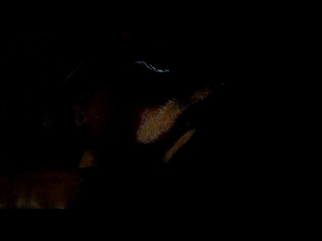 2 января 2023 г. смотреть онлайн