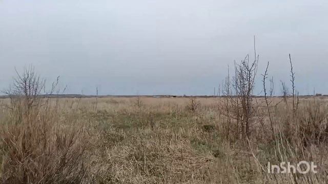 Дива в поле. смотреть онлайн