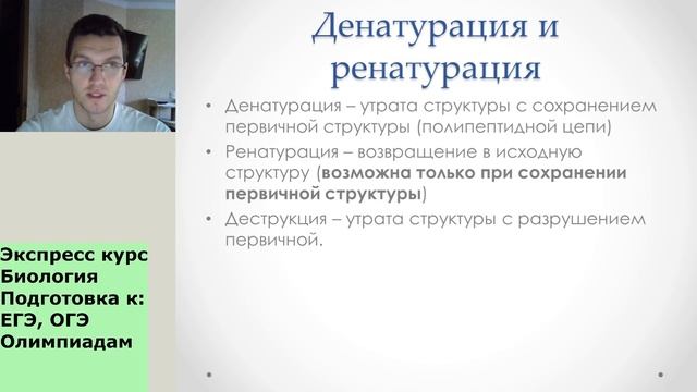 Экспресс-курс Белки и Нуклеиновые кислоты #биология #егэ #биологияегэ #перваятема