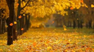 7. Sounds of the autumn forest. Звуки осеннего леса