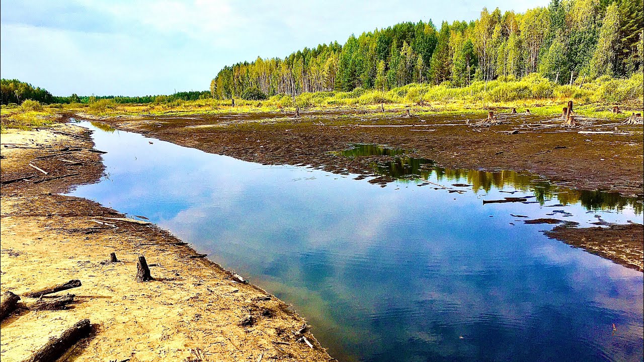 Зарыбляем озеро.