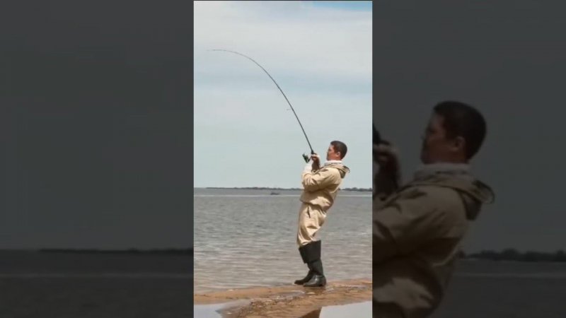 Клюёт на каждом забросе #рыбалка #яспиннингист #fishing