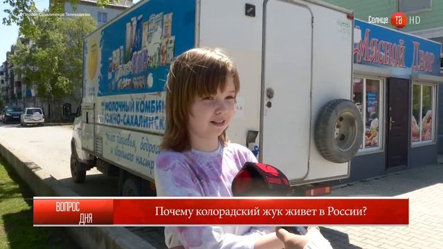 26.05.2017 Блиц-опрос: "Почему колорадский жук живет в России?" смотреть онлайн