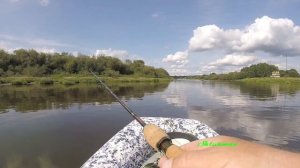 Рыбалка на Сухоне. Воблеры Golavl Pro.