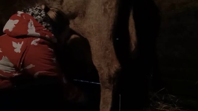 Жизнь в деревне ? Как правильно подоить корову ? смотреть онлайн