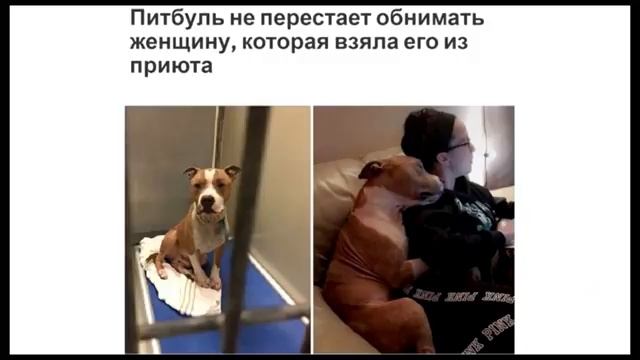 Лютые приколы мемы. ФУХ ВСЕ ПОМЫЛ! О НЕТ КАСТРЮЛЯ ТЫ ОТКУДА ВЗЯЛАСЬ?