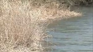 Едем по Приморью - Барабаш.wmv