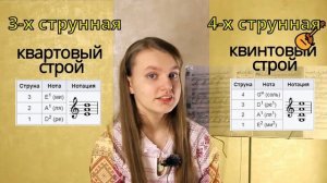 3-х и 4-х струнные домры