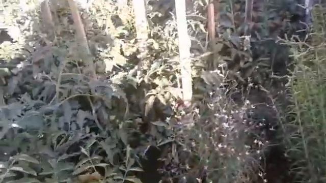 Сделай это своими руками..