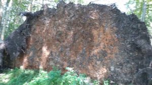 НЛО в Воронеже 2020.