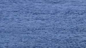 снегоход утонул