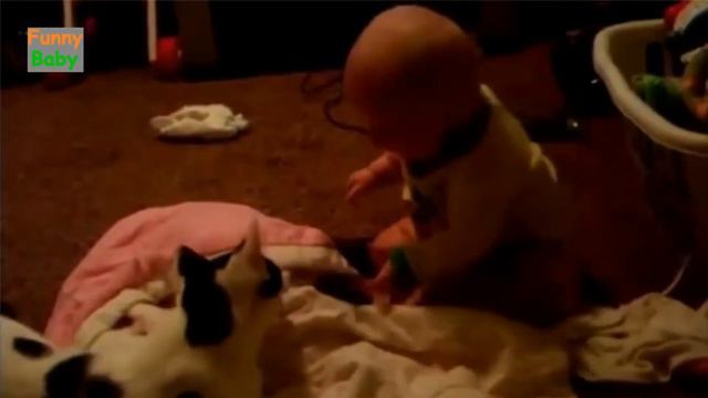 Funny Babies Laughing Hysterically at Cats Compilation ★ Best Funny Babies Videos 2017