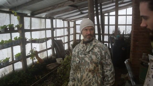 Теплица вегетарий у саманного дома | Зелень круглый год