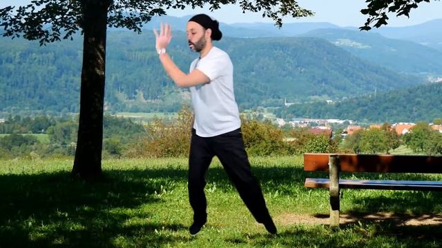 Tai Chi Qigong Eighteen Movements Shibashi