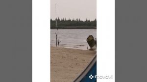 Рыбалка на реке Пур