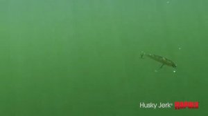 Rapala Husky Jerk