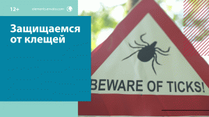 Как защититься от укусов клещей? — МоскваFM