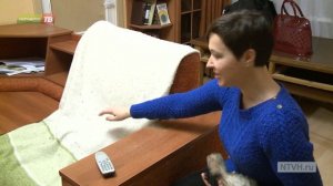 Домашние хорьки