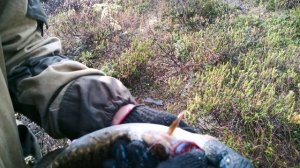 рыбалка в южной Якутии часть2