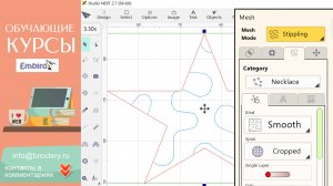 Уроки EMBIRD: Последние обновления 2024