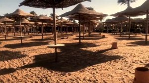 Лабранда макади бэй подробный обзор