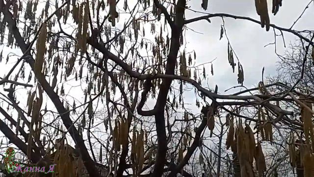 Это вжжжж неспроста!!! К нам пришла весна! смотреть онлайн