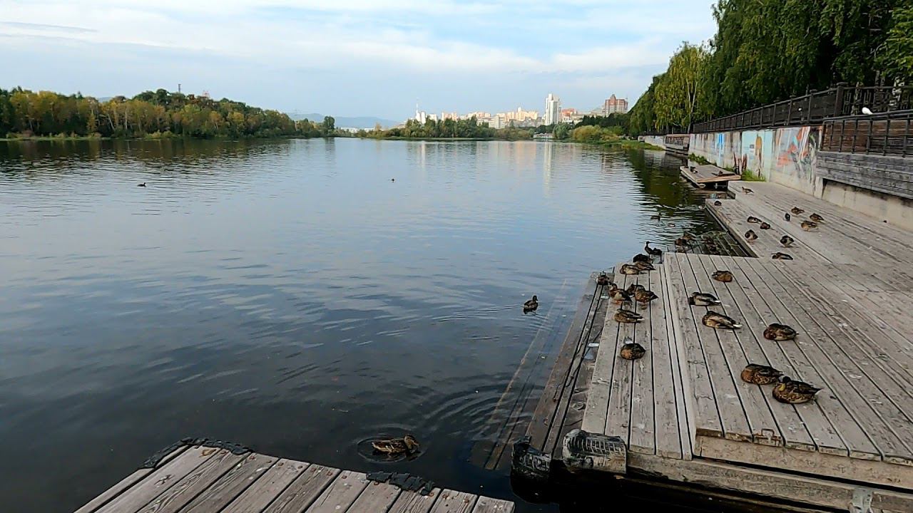 Набережная Енисея в районе ул Дубровинского г Красноярск