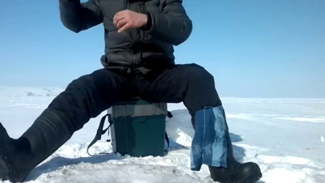 Окунь на мормышку. КВХ. Сов.Хакасия