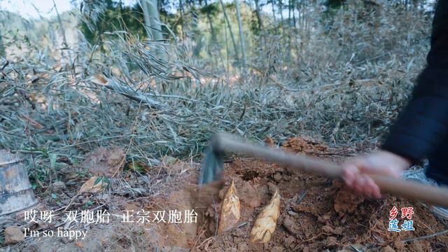 家乡的原味“冬笋炒腊肉”，吃美了👏Stir-fried Winter Bamboo Shoots with Bacon【乡野莲姐】 смотреть онлайн