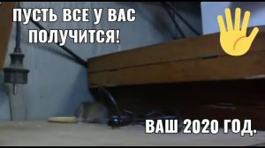 Пусть все у вас получится