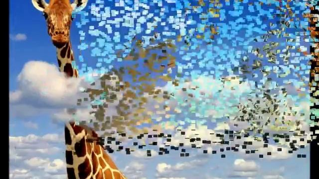 "Откуда на небе звезды?" смотреть онлайн