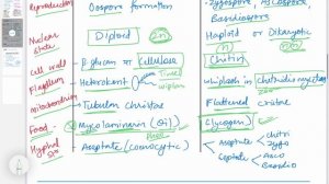 Fungi Omycetes Features || Myxomycetes || Botany for Assistant Professor || Botany by Nk