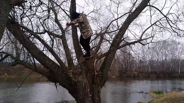 Zалезли на дерево рядом Z рекой похожее на руку смотреть онлайн