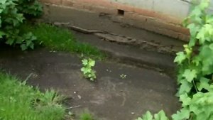 Полукруглые скамейки и фонтан , патио своими руками.