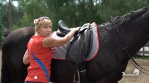 Какое седло? Конная амуниция. Выездка. Конкур.