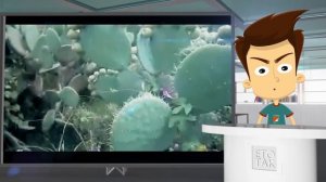 ЧЕМ ПОЛЕЗЕН КАКТУС?