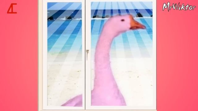 СЛЕПОЙ РОЗОВЫЙ ГУСЬ смотреть онлайн