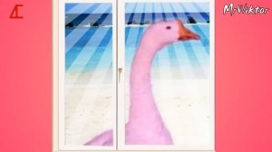 СЛЕПОЙ РОЗОВЫЙ ГУСЬ