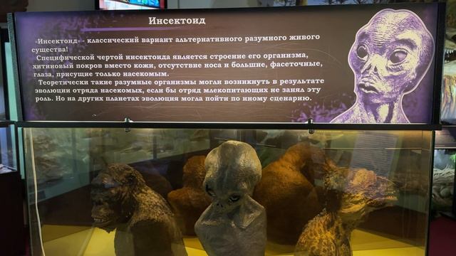 Вятский палеонтологический музей. Всей семьёй в музее. Теории развития человечества.