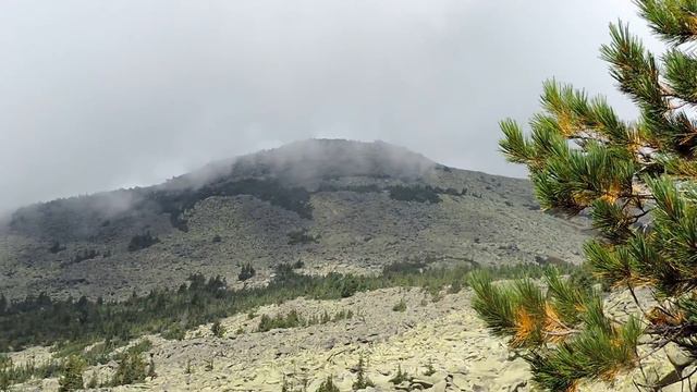 В горах Шерегеша смотреть онлайн