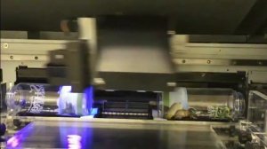 Rotaprint for Roland LEF UV printers