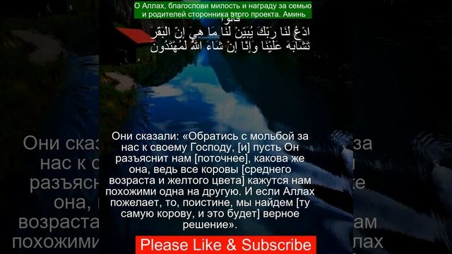 Коран Сура Аль Бакара 46 - 90  | Чтение Корана с русским переводом| Quran Translation in Russian