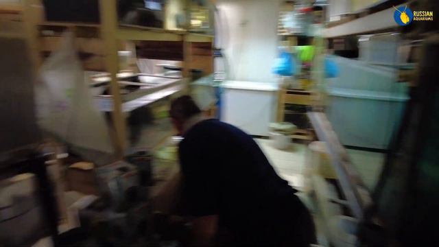 Телеграм бот Русские аквариумы и важная работа. Нам отдали классный аквариум.