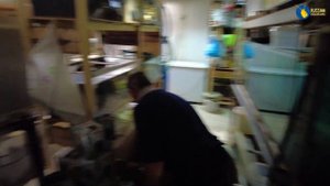 Телеграм бот Русские аквариумы и важная работа. Нам отдали классный аквариум.
