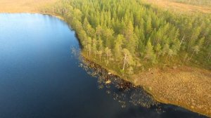 Полёт Над Лесом Карелии