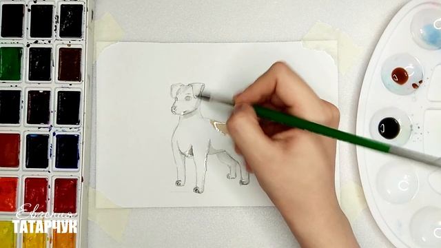 Как нарисовать собаку? | Рисую Джек-рассел-терьера смотреть онлайн